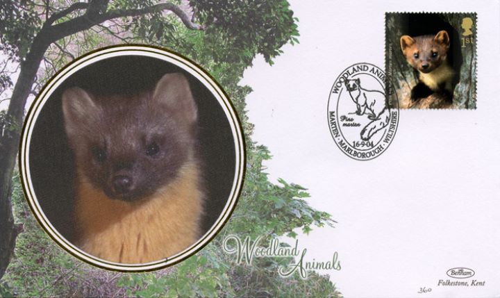 Woodland Animals, Pine Marten