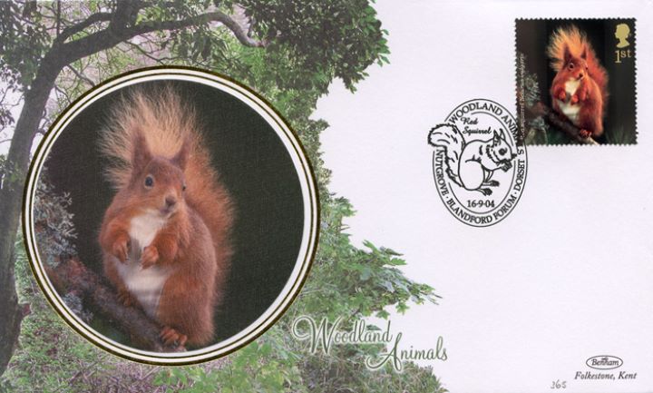 Woodland Animals, Red Squirrel