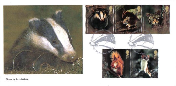 Woodland Animals, Badger