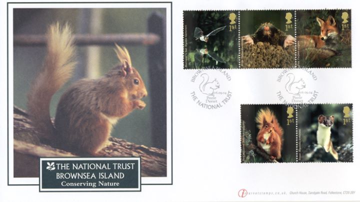 Woodland Animals, Red Squirrel