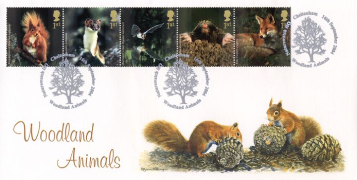 Woodland Animals, The Red Squirrel - Naturewatch