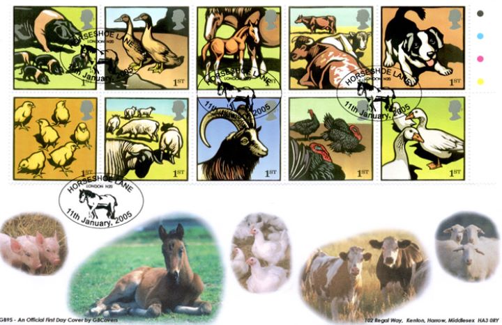 Farm Animals