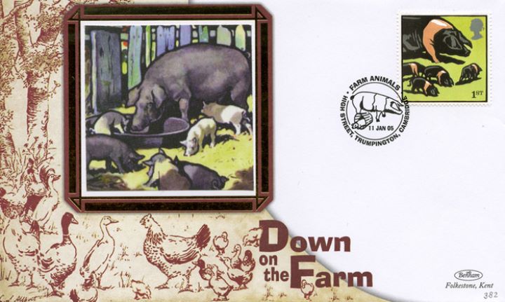 Farm Animals, Pigs feeding