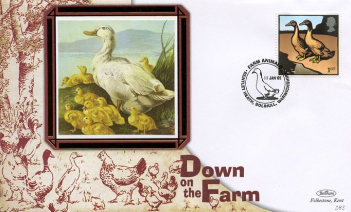 Farm Animals, Duck with chicks