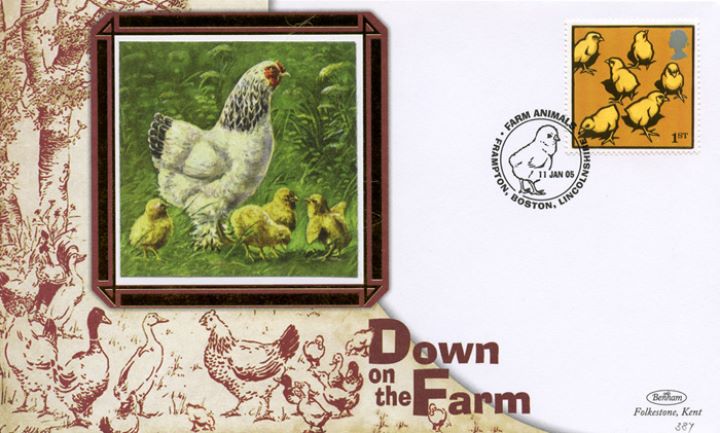 Farm Animals, Hen with chicks