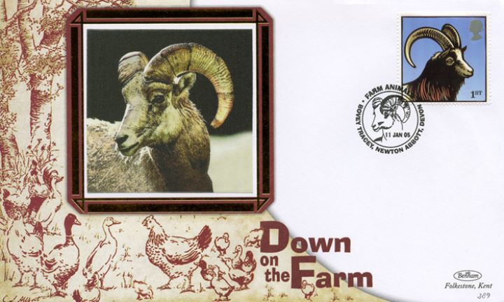 Farm Animals, Ram