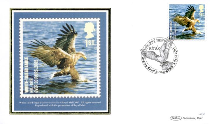 Birds (Endangered Species), White Tailed Eagle