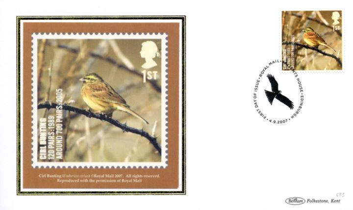 Birds (Endangered Species), Cirl Bunting