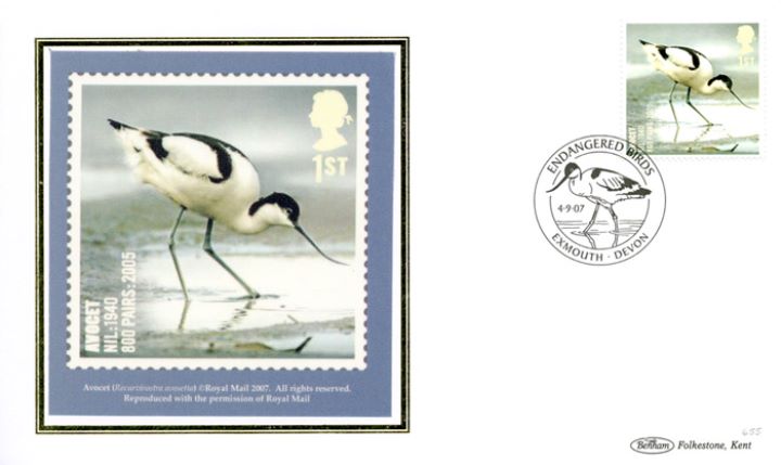 Birds (Endangered Species), Avocet