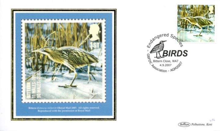 Birds (Endangered Species), Bittern