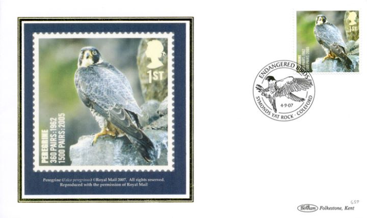 Birds (Endangered Species), Peregrine