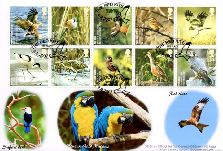 Birds (Endangered Species), Birds from around the world