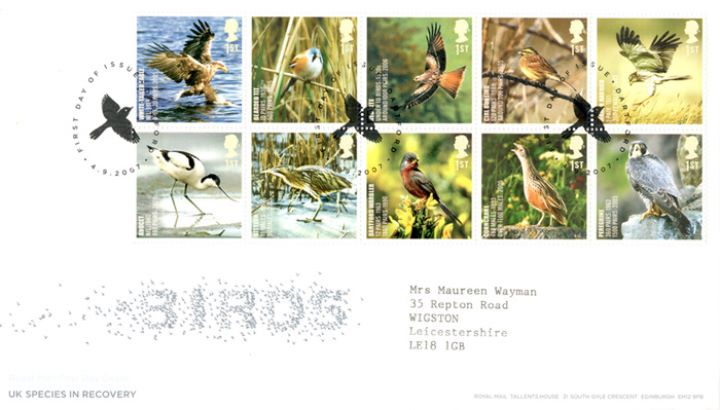 Birds (Endangered Species), Flock of Birds