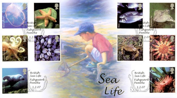 Sea Life, Boy on Seashore