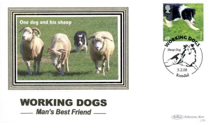 Working Dogs, One dog and his sheep