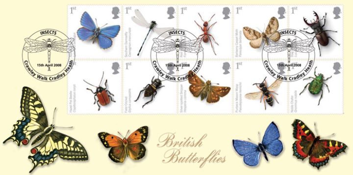 British Insects, British Butterflies