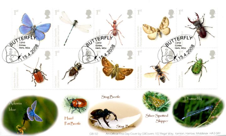 British Insects, Insects