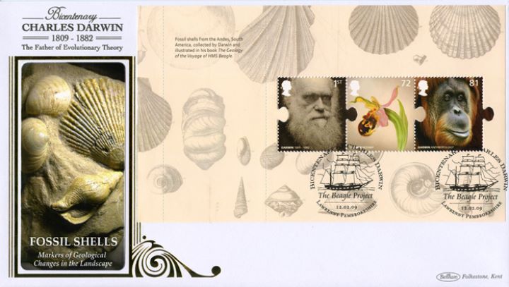 PSB: Charles Darwin - Pane 3, Fossil Shells