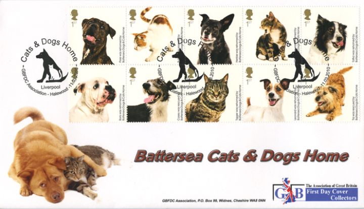 Battersea Dogs & Cats Home, Dog with cat