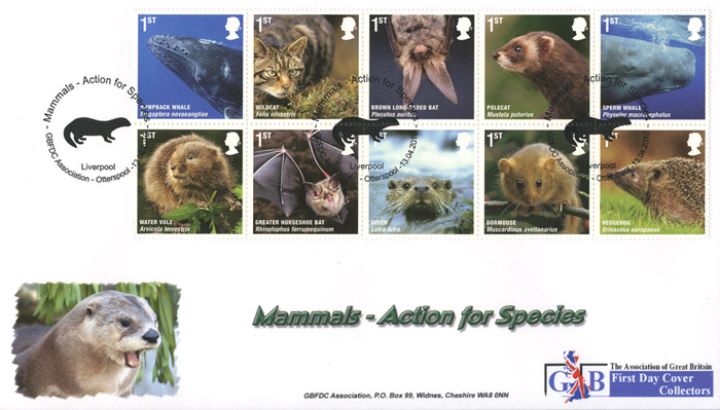 Mammals, Otter