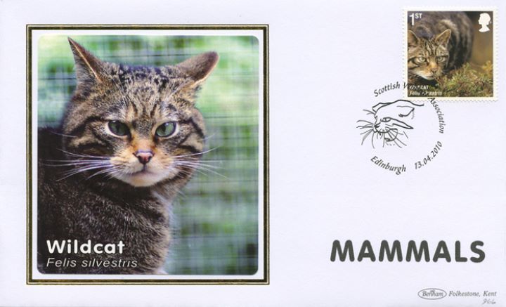 Mammals, Wildcat