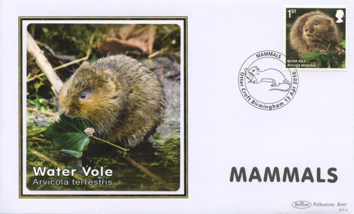 Mammals, Water Vole