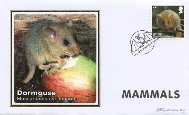 Mammals, Dormouse