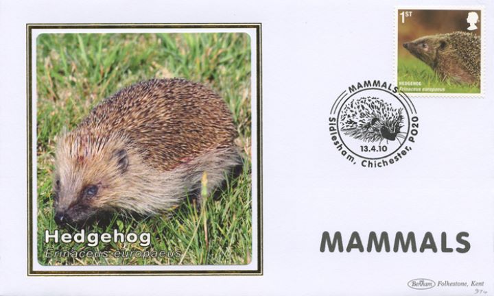 Mammals, Hedgehog