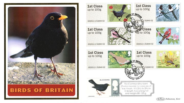 Birds of Britain: Series No.2, Blackbird