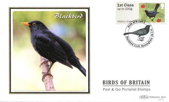 Birds of Britain: Series No.2, Blackbird