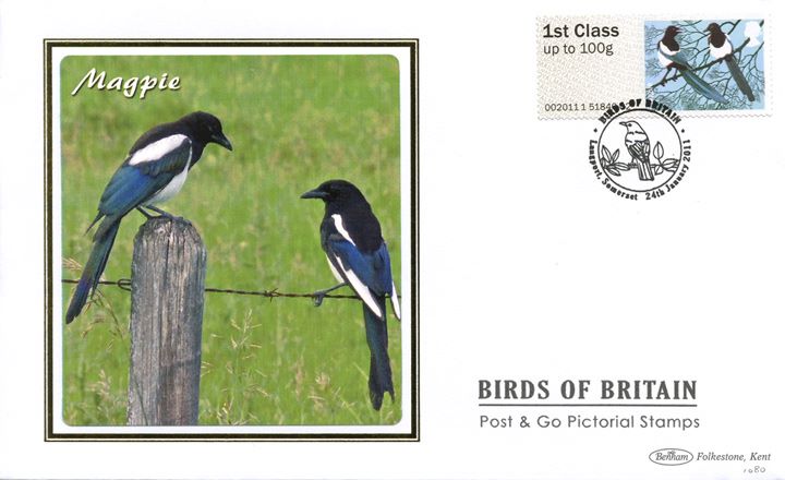 Birds of Britain: Series No.2, Magpies