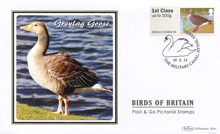 Birds of Britain: Series No.3, Greyling Goose