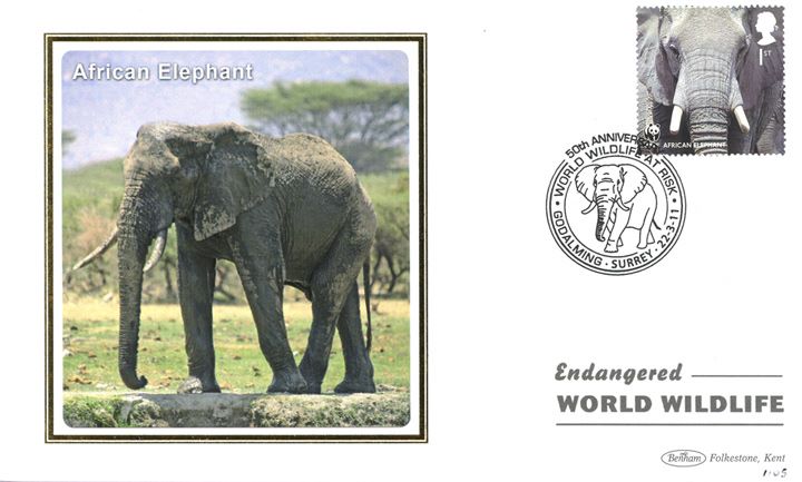 WWF, African Elephant