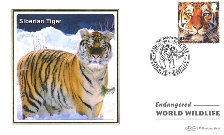 WWF, Siberian Tiger