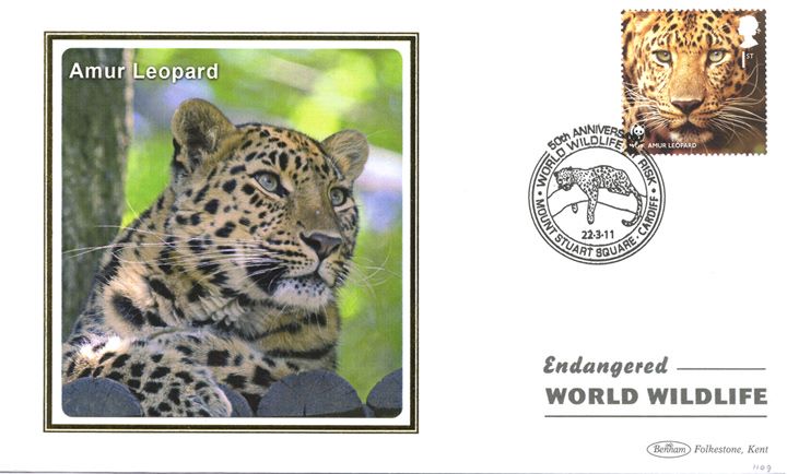 WWF, Amur Leopard