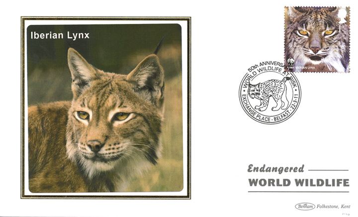 WWF, Iberian Lynx