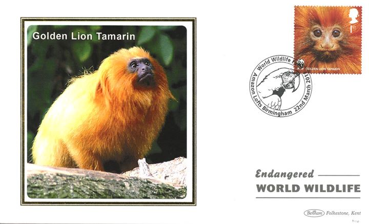 WWF, Golden Lion Tamarin