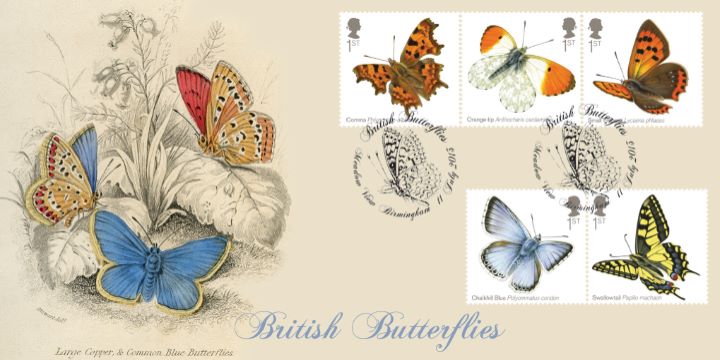 Butterflies, Large Copper & Chalkhill Blue