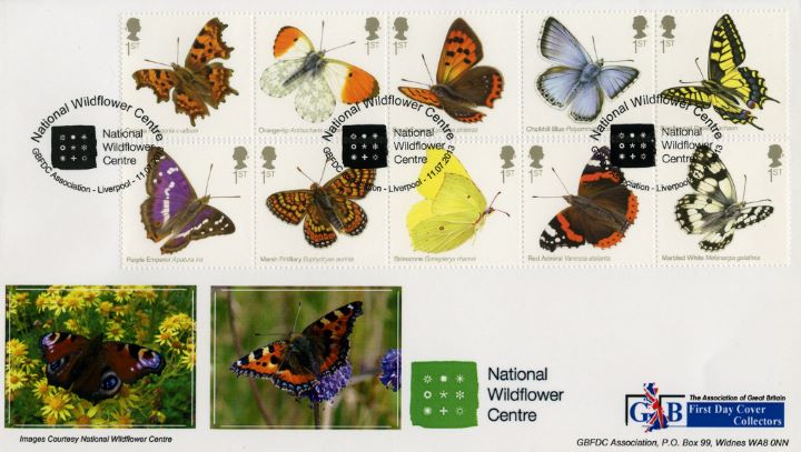 Butterflies, Peacock & Small Tortoiseshell