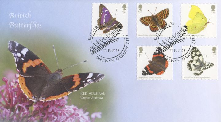 Butterflies, Red Admiral