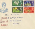 Botanical Congress
Plain cover with rubber stamp cachet