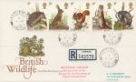 British Wildlife
Rare Nettleham postmark