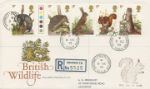 British Wildlife
Rare Squirrels Heath postmark