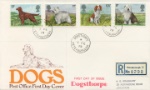 British Dogs
Dogsthorpe