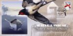 Swallows & Amazons
80th Anniversary
