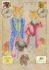 Freddie and Felicity Fox
Peter Rabbit Special Postmark