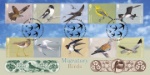 Migratory Birds
Migratory Birds