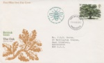 British Trees - The Oak
Manchester Bee Cachet
Producer: Royal Mail/Post Office
Series: Manchester Bee (41)