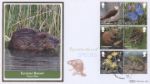 Re-introduced Species
Eurasian Beaver