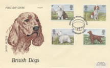 07.02.1979
British Dogs
Irish Setter
Philart